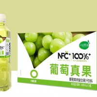 小輕果語(yǔ)葡萄果肉復(fù)合果汁飲料 488ml×15瓶